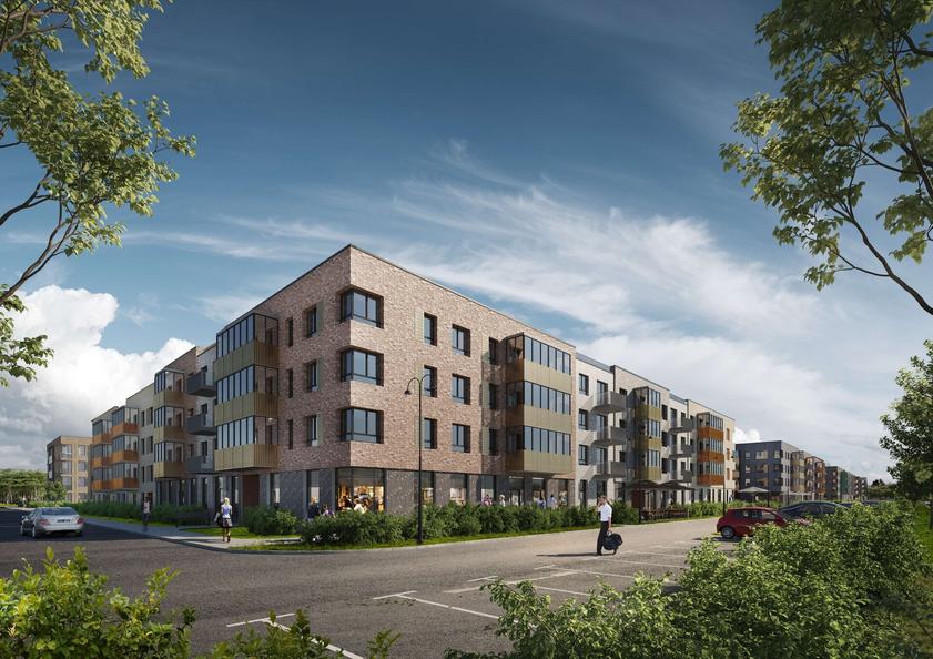 ТОП-5 ЖК Ленинградской области у Санкт-Петербурга 3